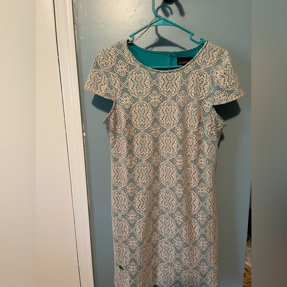 Scarlett Lace Dress. Size 14. Small tear in the lace at the bottom.